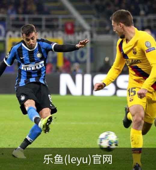 乐鱼(leyu)官网简介